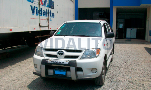 vidalito